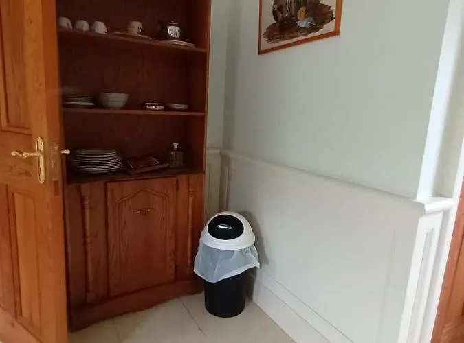 度假居 Clos Na Feirme 戈尔韦